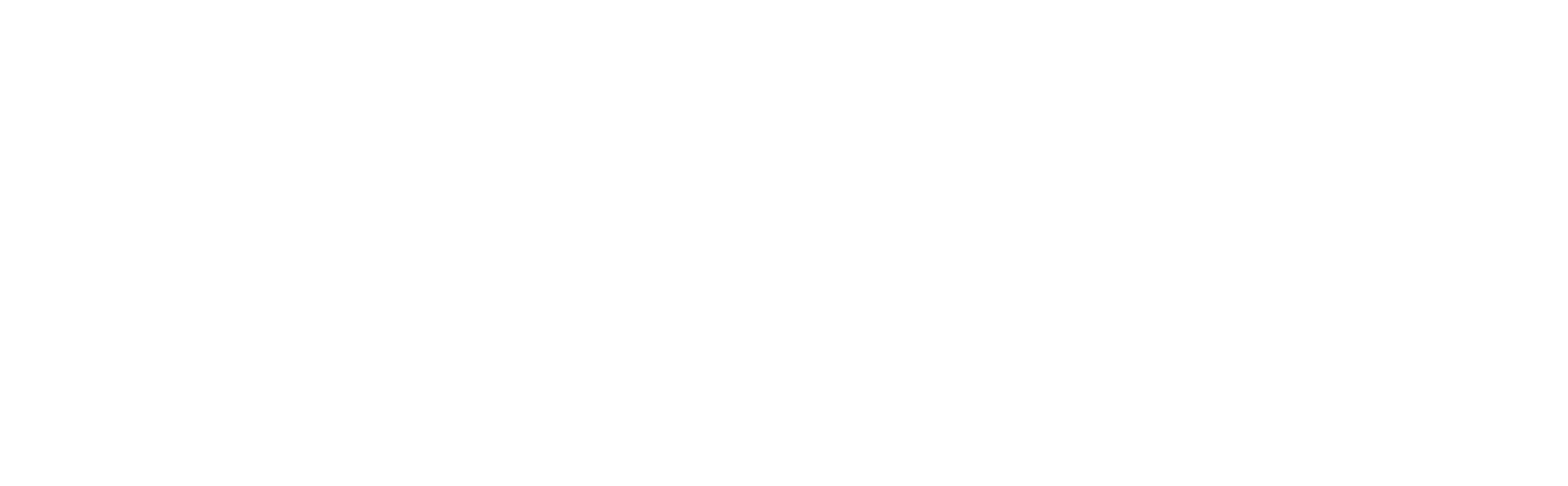 Beyond Born logo